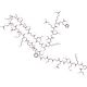 BNP (1-32), human 的分子结构 BNP (1-32), human - chemical structure image