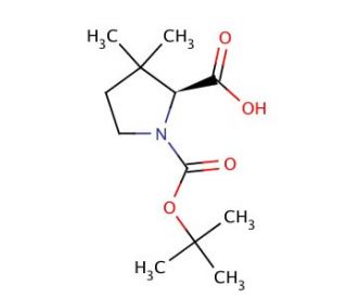 Boc-(2S)-3,3-dimethyl-2-pyrrolidenecarboxylic Acid (CAS 174060-98-1) - chemical structure image