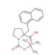 Boc-α-(1-naphthylmethyl)-DL-Pro-OH (CAS 351002-65-8) - chemical structure image