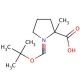 Boc-α-Me-DL-Pro-OH (CAS 203869-80-1) - chemical structure image