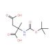 Boc-alpha-methyl-L-aspartic acid - chemical structure image
