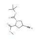 Boc-cis-4-cyano-L-proline methyl ester (CAS 487048-28-2) - chemical structure image