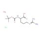 Boc-D-Arg-OH H2O HCl 的分子结构, CAS编号: 113712-06-4 Boc-D-Arg-OH H2O HCl (CAS 113712-06-4) - chemical structure image