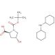 Boc-L-4-hydroxyproline dicyclohexylammonium salt (CAS 21157-12-0) - chemical structure image