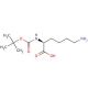 Boc-Lys-OH (CAS 13734-28-6) - chemical structure image