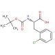 Boc-Phe(2-Cl)-OH 的分子结构, CAS编号: 114873-02-8 Boc-Phe(2-Cl)-OH (CAS 114873-02-8) - chemical structure image