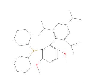 BrettPhos (CAS 1070663-78-3) - chemical structure image