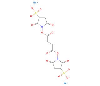 Butanedioic Acid 1,4-Bis(2,5-dioxo-3-sulfo-1-pyrrolidinyl) Ester Disodium Salt (CAS 215597-96-9) - chemical structure image
