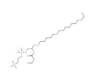 Butanoyl PAF - chemical structure image