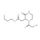 Butyl 2-[1-(2-bromoacetyl)-3-oxo-2-piperazinyl]-acetate - chemical structure image