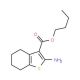 Butyl 2-amino-4,5,6,7-tetrahydro-1-benzothiophene-3-carboxylate - chemical structure image
