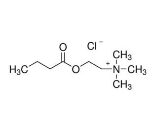 Butyrylcholine chloride (CAS 2963-78-2) - chemical structure image