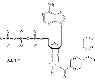BzATP triethylammonium salt (CAS 112898-15-4) - chemical structure image