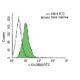 c-Kit Antibody (2B8) - Flow Cytometry - Image 9793