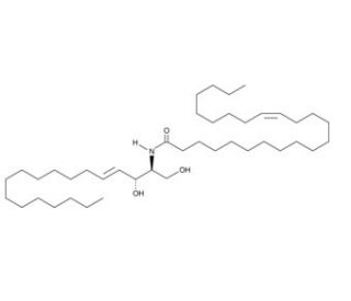 C24:1 Ceramide (CAS 54164-50-0) - chemical structure image