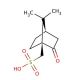 Camphor-10-sulfonic acid (β) (CAS 5872-08-2) - chemical structure image