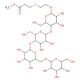Carbomethoxyethylthioethyl 4-O-(4-O-[6-O-{a-D-glucopyranosyl}-a-D-glucopyranosyl]-a-D-glucopyranosyl)-b-D-glucopyranoside (CA