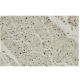 CCRK Antibody (L-35) - Immunohistochemistry - Image 35903