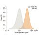 CD10 Antibody (FR4D11) - Flow Cytometry - Image 396011