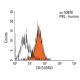 CD13 Antibody (BR2) - Flow Cytometry - Image 18008