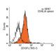 CD137L Antibody (TKS-1) - Flow Cytometry - Image 14492