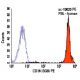 CD16 Antibody (3G8) - Flow Cytometry - Image 5799