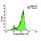 CD163 Antibody (GHI/61) - Flow Cytometry - Image 9517 