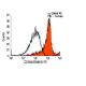 CD163 Antibody (GHI/61) - Flow Cytometry - Image 9518
