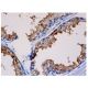 CD177 Antibody (C-1) - Immunohistochemistry - Image 350191 