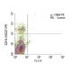 CD19 Antibody (HD237) - Flow Cytometry - Image 11471 