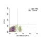 CD19 Antibody (HD237) - Flow Cytometry - Image 11490