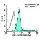 CD19 Antibody (SJ25-C1) - Flow Cytometry - Image 5804