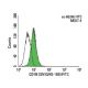 CD1B Antibody (SN13/K5-1B8) - Flow Cytometry - Image 141208