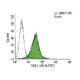 CD21 Antibody (HB-5) - Flow Cytometry - Image 153084 