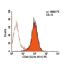 CD22 Antibody (SJ10.1H11) - Flow Cytometry - Image 6028 