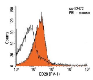 CD28 Antibody (PV-1) - Flow Cytometry - Image 13187