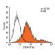 CD38 Antibody (T16) - Flow Cytometry - Image 14303