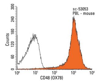 CD48 Antibody (OX78) - Flow Cytometry - Image 13771 