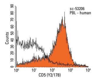 CD5 Antibody (Y2/178) - Flow Cytometry - Image 13056 