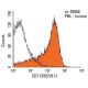 CD7 Antibody (SBCV9.1) - Flow Cytometry - Image 14928