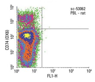 CD74 Antibody (OX6) - Flow Cytometry - Image 13778