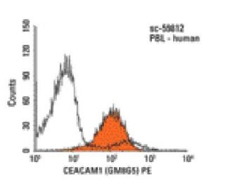 CEACAM1 Antibody (GM8G5) - Flow Cytometry - Image 14479