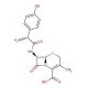 Cefadroxil (CAS 50370-12-2) - chemical structure image