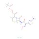 Cefetamet pivoxil hydrochloride (CAS 111696-23-2) - chemical structure image