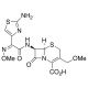 Cefpodoxime, Free Acid (CAS 80210-62-4) - chemical structure image
