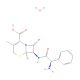 Cephalexin Monohydrate (CAS 23325-78-2) - chemical structure image