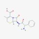 Cephradine 的分子结构, CAS编号: 38821-53-3 Cephradine (CAS 38821-53-3) - chemical structure image