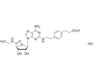 CGS 21680 Hydrochloride (CAS 124431-80-7) - chemical structure image