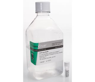 ChIP Lysis Buffer: sc-45000