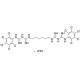Chlorhexidine-d8 Dihydrochloride 的分子结构, CAS编号: 3697-42-5 (unlabeled) Chlorhexidine-d8 Dihydrochloride (CAS 3697-42-5 (unlabeled)) - chemical structure image